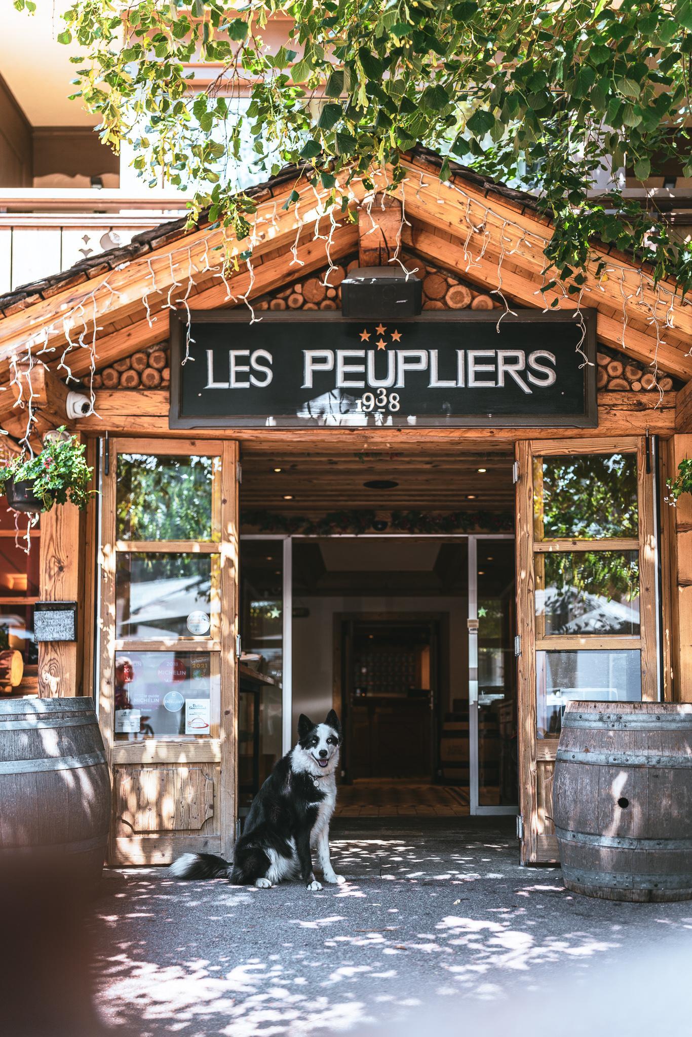 Les Peupliers Otel Courchevel Dış mekan fotoğraf